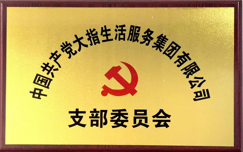 大指公司黨支部委員會(huì)